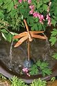 Ancient Graffiti Dragonfly Dripper-Fountain