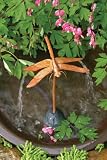 Dragonfly Dripper / Fountain
