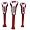 Wisconsin Badgers
