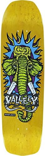 Street Plant Vallely Modern Mammoth Skateboard Deck -8.2x31.8 Yellow Assembled as COMPLETE Skateboard