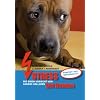 Stress bei Hunden