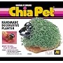 Chia Pet Handmade Decorative Planter- Frog