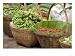 Fresh Fruit and Vegetable Market, Khon Kaen, Isan, Thailand Photographic Poster Print by Gavriel Jecan, 64x48
