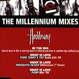 What Is Love: Millennium Remixes