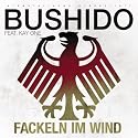 Fackeln im Wind 2010