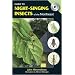 Guide to Night-Singing Insects of the Northeast