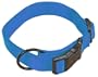 Hamilton 1-Inch Adjustable Dog Collar, Large, Fits 18-Inch by 26-Inch, Berry Blue
