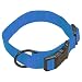 Hamilton 1-Inch Adjustable Dog Collar, Large, Fits 18-Inch by 26-Inch, Berry Blue