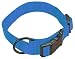 Hamilton 5/8" Adjustable Dog Collar, adjusts from 12-18 inches, Berry Blue
