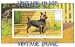 2.75 inch x 2 inch (7.5 x 5cm) Acrylic Fridge Magnet Dogs Australian Terrier Vintage Image