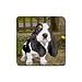 Basset Hound Rubber Square Coaster (4 pack)