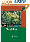 Illustrated Handbook of Succulent Plants: Dicotyledons
