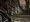 Dragon Age: Origins