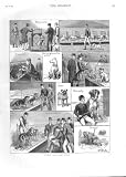 NOTES AT A DOG SHOW Antique Print 1883