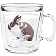 Rabbit (Brown & White) 12 oz Insulated Coffee Mug, Clear