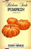 Ferry-Morse 3751 Heirloom Seeds Pumpkin - Fairy Tale