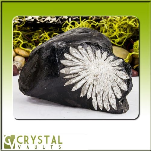 Chrysanthemum Stone