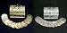 Wedding Ceremonial Arras, or 13 Coins, with Treasure Box, Gold or Silver Plated : Imported and Hand-Made