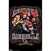 Arizona Cardinals (Mascot, Grinding It Out Since 1920) Sports Poster Print - 22x34