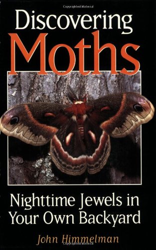 discovering moths nighttime jewels in your own backyard