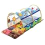 Baby Einstein Animal Exploration Tunnel