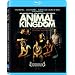 Animal Kingdom (La loi du plus fort) (Blu-Ray)
