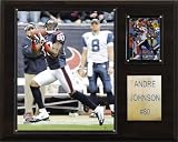 NFL Andre Johnson Houston Texans Player Plaque