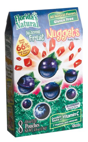 Florida's Natural Blueberry Nuggets, 8-Count, 0.6-Ounce Boxes (Pack of 12) by Florida's Natural