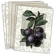 Les Fruits Botanique - Box Set of 12 Assorted Greeting Cards and Patterned Envelopes