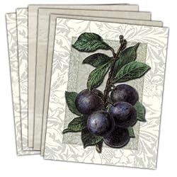 Les Fruits Botanique - Box Set of 12 Assorted Greeting Cards and Patterned Envelopes