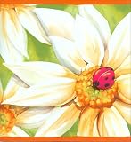 Green & Orange Daisy Wallpaper Border