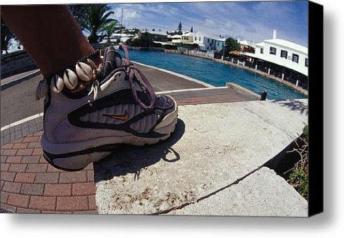 Shell Ankle Bracelet Canvas Print / Canvas Art – Artist Carl Purcell Review