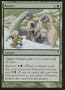 Resize FOIL (Magic the Gathering : Coldsnap #117 Foil Uncommon)