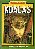 Koalas