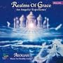 Realms of Grace: An Angelic Experience