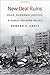 New Deal Ruins: Race, Economic Justice, and Public Housing Policy