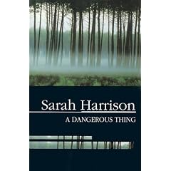 A Dangerous Thing (Severn House Large Print)