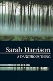 A Dangerous Thing (Severn House Large Print)