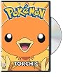 Pokemon All Stars, Vol. 19: Torchic
