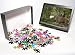 Photo Jigsaw Puzzle of Red Deer - buck bellowing in rut season from Ardea Wildlife Pets