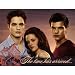 Breaking Dawn - Invitations (8) Party Supplies