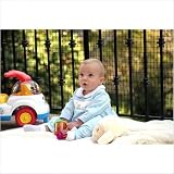 Deck Shield Netting, Black, 50 Feet x 35 Inches High