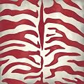 Vibrant Zebra I - Red (16 x 16")