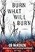 Burn What Will Burn: A Novel