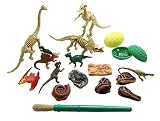 Dinosaur Dig Excavation Sensory Bin Toy - Dino skeleton, fossil Game, digging for dinosaur bones