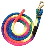 Tough-1 Rainbow Lead Bolt Snap - Rainbow - 8 1/2'