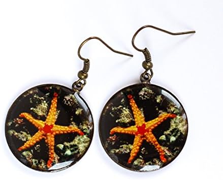 Unique Fashion Bright Sea Ocean World Orange Starfish Photo Print Epoxy Resine Earrings Handmade Jewelry Gift for women Pattern design dangle casual earrings