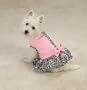SMALL - Sugar and Spice Dog Dress