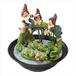 Playful Pals Tabletop Fountain