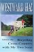 Westward Ha!: Bicycling Cross-Country with My Two Sons by Calvin Allen